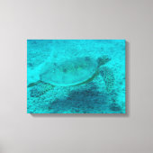 Hawaiian Green Zee Turtle Canvas afdrukken (Voorkant)