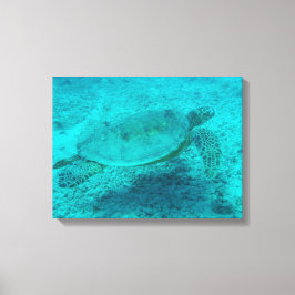 Hawaiian Green Zee Turtle Canvas afdrukken