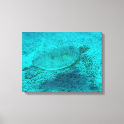 Hawaiian Green Zee Turtle Canvas afdrukken (Voorkant)