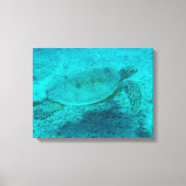 Hawaiian Green Zee Turtle Canvas afdrukken (Voorkant)