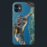 Hawaiian Green Zee Turtle iPhone 11 Hoesje<br><div class="desc">Een Hawaiiaanse grove zee schildpad onderzoekt zijn reflectie in mijn koepelhaven. © en ® Bigstock® - Alle rechten voorbehouden.</div>