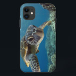 Hawaiian Green Zee Turtle iPhone 11 Hoesje<br><div class="desc">Een Hawaiiaanse grove zee schildpad onderzoekt zijn reflectie in mijn koepelhaven. © en ® Bigstock® - Alle rechten voorbehouden.</div>