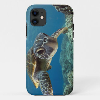 Hawaiian Green Zee Turtle iPhone 11 Hoesje