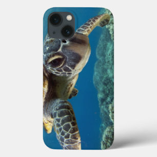 Hawaiian Green Zee Turtle iPhone 13 Hoesje