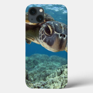 Hawaiian Green Zee Turtle Case-Mate iPhone Case