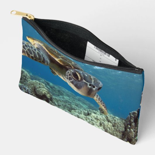 Hawaiian Green Zee Turtle Etui (Open)