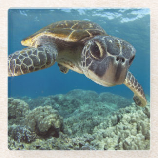 Hawaiian Green Zee Turtle Glazen Onderzetter
