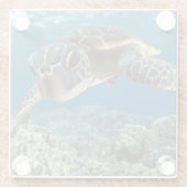 Hawaiian Green Zee Turtle Glazen Onderzetter (Achterkant)