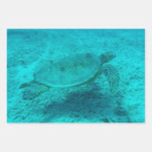 Hawaiian Green Zee Turtle Inpakpapier Vel (Voorkant 2)