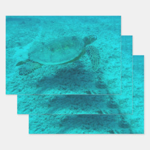 Hawaiian Green Zee Turtle Inpakpapier Vel
