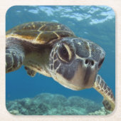Hawaiian Green Zee Turtle Kartonnen Onderzetters (Voorkant)
