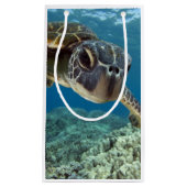 Hawaiian Green Zee Turtle Klein Cadeauzakje (Voorkant)