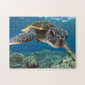 Hawaiian Green Zee Turtle Legpuzzel (Horizontaal)