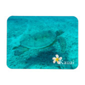 Hawaiian Green Zee Turtle Magneet (Horizontaal)