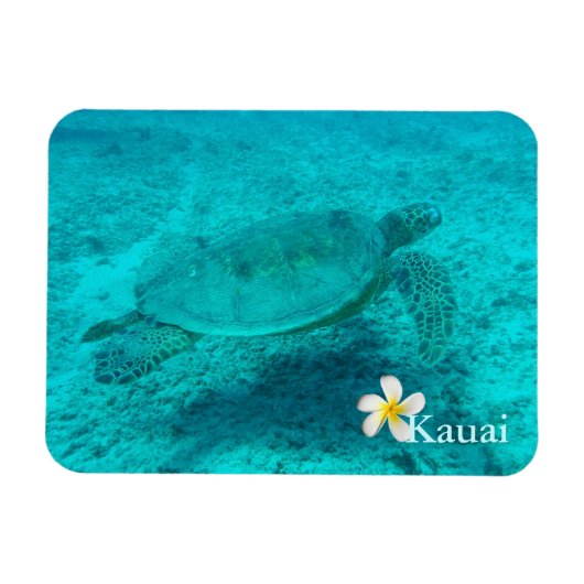 Hawaiian Green Zee Turtle Magneet (Horizontaal)