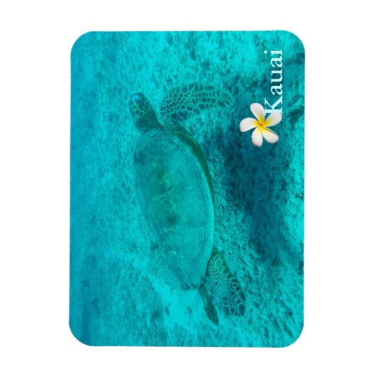 Hawaiian Green Zee Turtle Magneet (Verticaal)