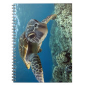 Hawaiian Green Zee Turtle Notitieboek (Voorkant)