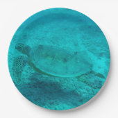Hawaiian Green Zee Turtle Papieren Bordje (Voorkant)
