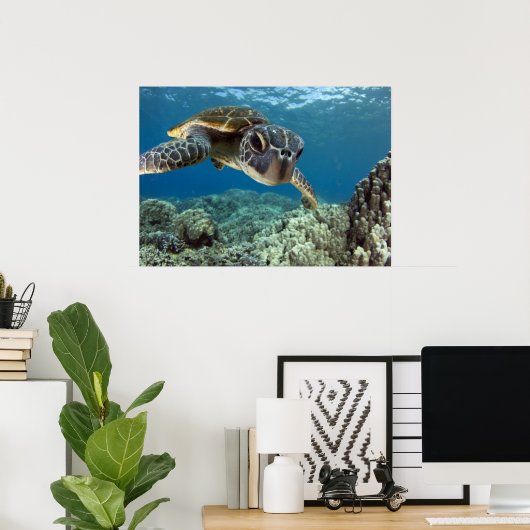 Hawaiian Green Zee Turtle Poster (Thuiskantoor)
