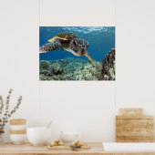 Hawaiian Green Zee Turtle Poster (Keuken)