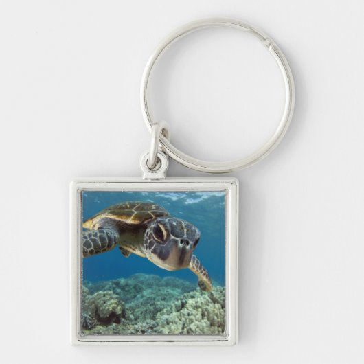 Hawaiian Green Zee Turtle Sleutelhanger (Voorkant)