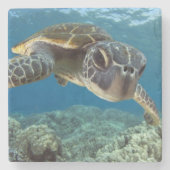 Hawaiian Green Zee Turtle Stenen Onderzetter (Voorkant)
