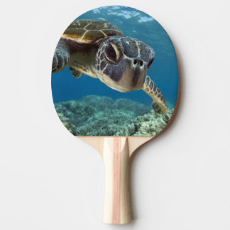 Hawaiian Green Zee Turtle Tafeltennisbatje