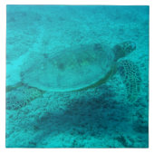 Hawaiian Green Zee Turtle Tegeltje (Voorkant)