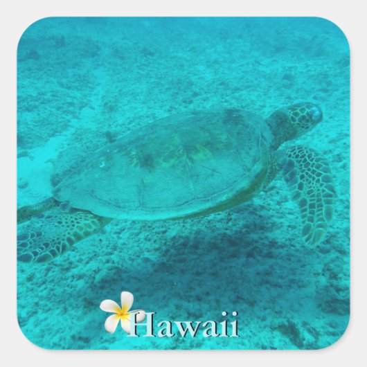 Hawaiian Green Zee Turtle Vierkante Sticker (Voorkant)