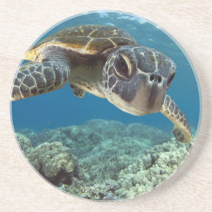 Hawaiian Green Zee Turtle Zandsteen Onderzetter