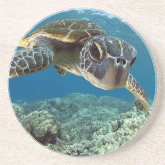 Hawaiian Green Zee Turtle Zandsteen Onderzetter