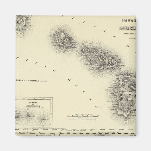 Hawaiian Group Magneet (Voorkant)