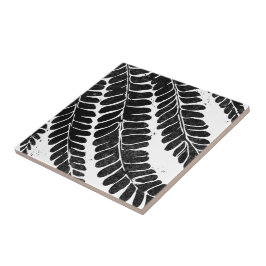 Hawaiian Haole Koa- leucaena leaf Tegeltje