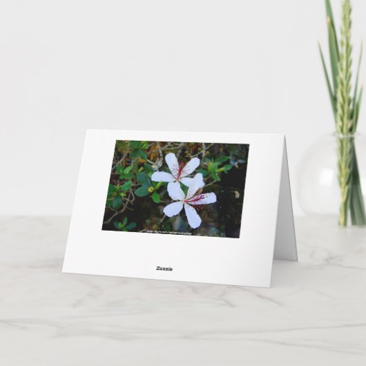 Hawaiian Happy Birthday Kaart (Achterkant)