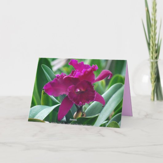 Hawaiian Happy Moederdag Cattleya Kaart (Achterkant)