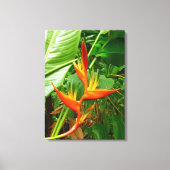 Hawaiian Heliconia Canvas Afdruk (Voorkant)