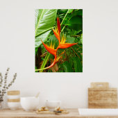 Hawaiian Heliconia Poster (Keuken)
