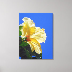 Hawaiian Hibiscus Canvas Afdruk