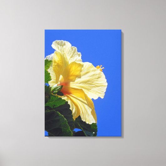 Hawaiian Hibiscus Canvas Afdruk (Voorkant)