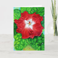 Hawaiian Hibiscus
