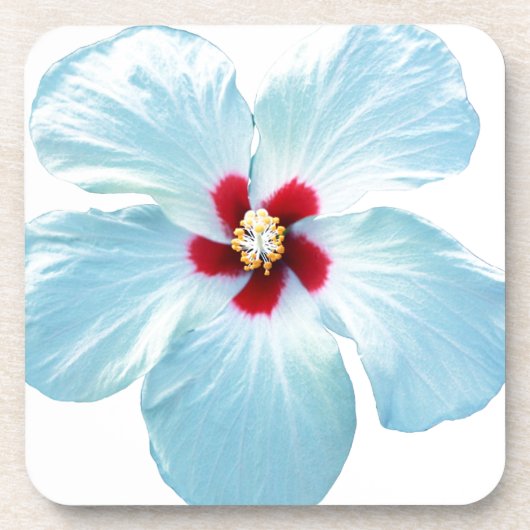 Hawaiian Hibiscus Flower Bier Onderzetter (Voorkant)