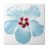 Hawaiian Hibiscus Flower Tegeltje (Voorkant)