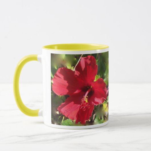 Hawaiian Hibiscus mok (Links)