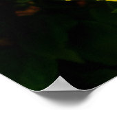 Hawaiian Hibiscus Poster (Hoek)