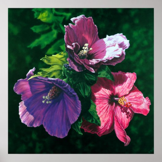 Hawaiian Hibiscus poster print (Voorkant)