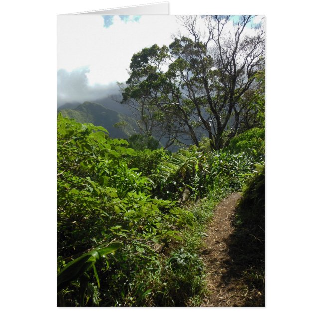 Hawaiian Hiking Trail (Voorkant)
