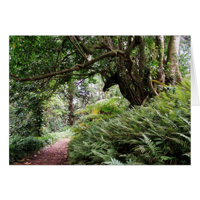 Hawaiian Hiking Trail (Voorkant Horizontaal)