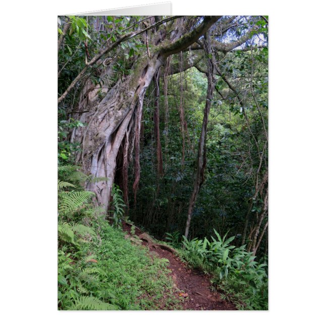 Hawaiian Hiking Trail (Voorkant)