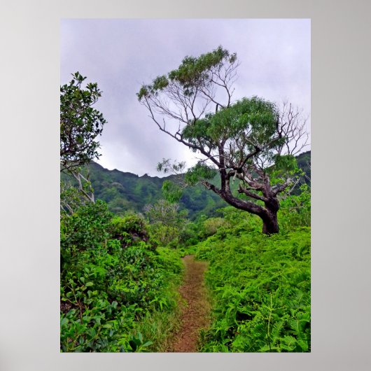 Hawaiian Hiking Trail Poster (Voorkant)