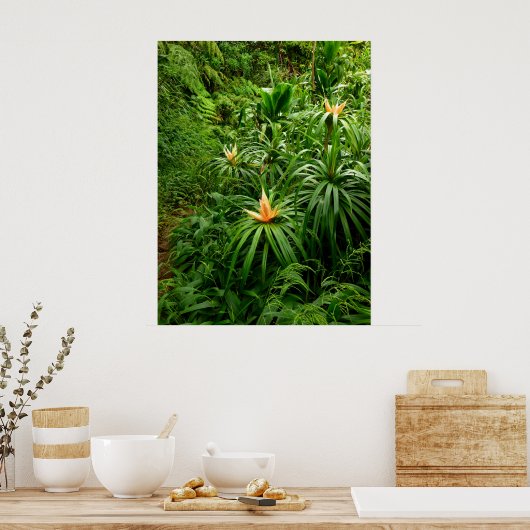 Hawaiian Hiking Trail Poster (Keuken)